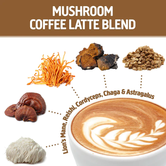 انواع قهوه قارچ